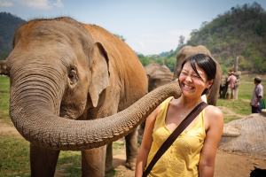 elephant park chang mai