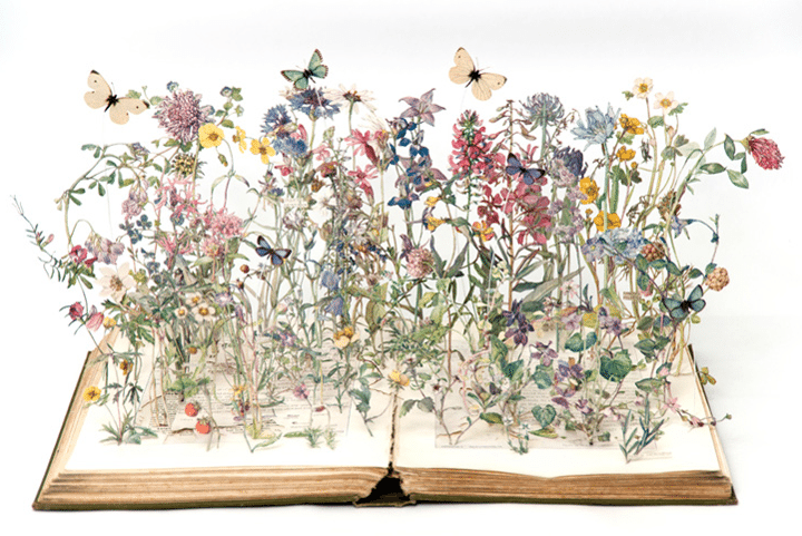 Book-Art -When-Literary-Art-meets-Visual-Art-6