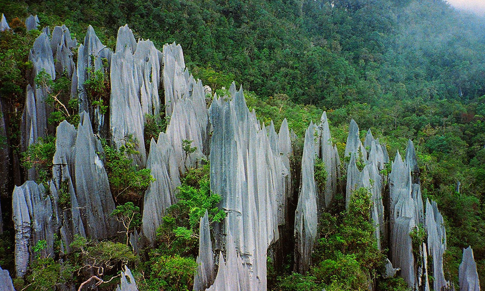 Pinnacles_at_Mulu_2